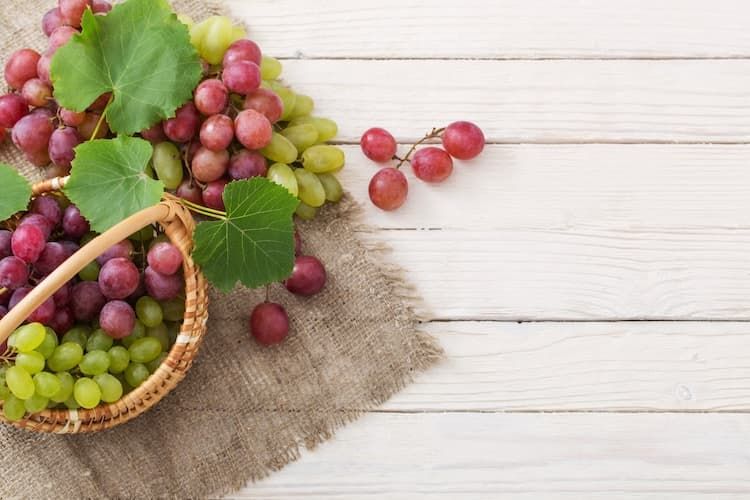 greek grapes, greek grape exports, fruit export Greece