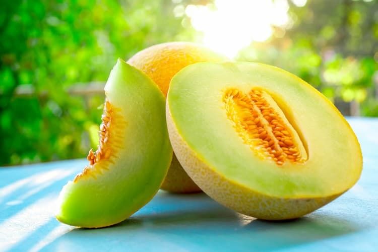 greek melon export, greek fruit exports, melon export Greece